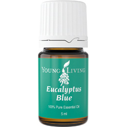 Eucalyptus Blue