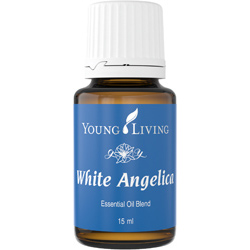 White Angelica